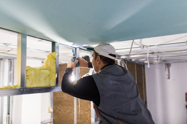 Best Insulation Installation Services in Pickerington, OH